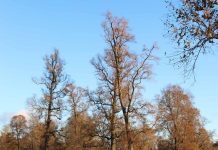 Perspectiva Agroclimática Abril – Mayo – Junio 2025