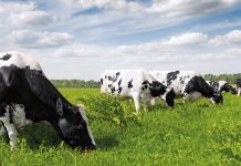 Perspectiva Agroclimática  Agosto – Septiembre – Octubre 2023