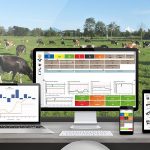 Mi Rebaño Colun Una Gran Herramienta