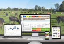 Mi Rebaño Colun Una Gran Herramienta