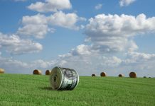 Valorizando y $Bolarizando los Recursos Forrajeros de Verano AGROCOLUN_68_AGRICOLA_ Valorizando y Bolarizando