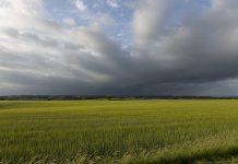 Perspectiva Agroclimática Enero-Febrero 2024 Zona Sur AGROCOLUN 69 PERSPECTIVA AGROCLIMÁTICA ENCABEZADO