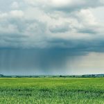 Fenómeno de El Niño en Retirada ¿Invierno Lluvioso o Seco? Especialistas Analizan Cómo Serán las Condiciones Climáticas en los Próximos Meses AGROCOLUN 71 CLIMA INVIERNO ENCABEZADO