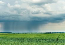 Fenómeno de El Niño en Retirada  ¿Invierno Lluvioso o Seco? Especialistas Analizan Cómo Serán las Condiciones Climáticas en los Próximos Meses AGROCOLUN 71 CLIMA INVIERNO ENCABEZADO