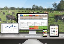 Uniform: Reportería Útil  Para el Análisis y Gestión de su Rebaño AGROCOLUN 71 GESTIÓN ENCABEZADO