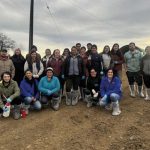 Curso Manejos Claves del Ternero Recién Nacido AGROCOLUN ED 73 ACTIVIDADES CURSO TERNEROS IMG PRINCIPAL