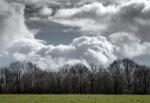 Boletín Climático AGROCOLUN ED 73 CLIMA IMG PRINCIPAL