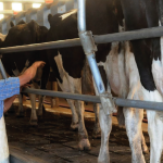 De Agricultor a Empresario: Decisiones de Inversión y Rentabilidad