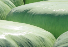 De Agricultor a Empresario: Variables a Considerar para la Confección o Compra de Forrajes Conservados Variables a Considerar para la Confección o Compra de Forrajes Conservados