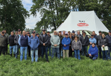 Día de Campo  Estrategias de Verano: Riego y Alfalfa