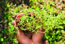 Programa Colun Recicla