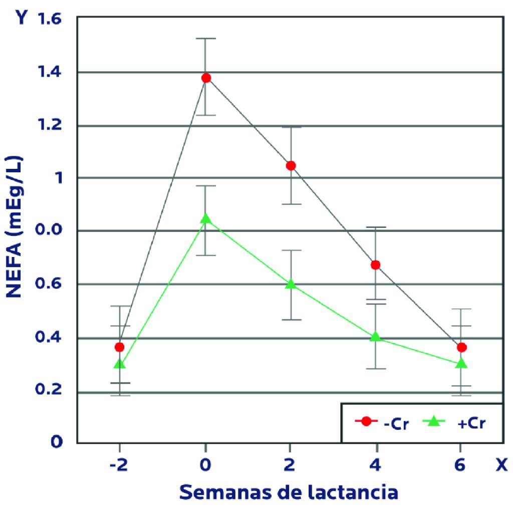 AGROCOLUN Edición 75 | El Cromo Un Aliado poco Conocido en la Suplementación Mineral | AGROCOLUN Edición 75 Agrocolun edición 75 | el cromo un aliado poco conocido en la suplementación mineral | agrocolun edición 75