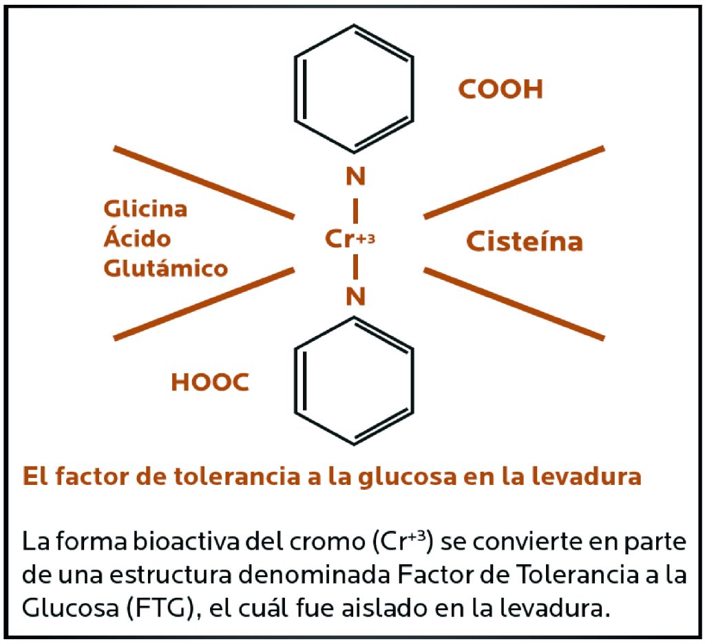 AGROCOLUN Edición 75 | El Cromo Un Aliado poco Conocido en la Suplementación Mineral | AGROCOLUN Edición 75 Agrocolun edición 75 | el cromo un aliado poco conocido en la suplementación mineral | agrocolun edición 75