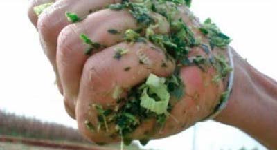 AGROCOLUN Edición 76 | Estrategias para la Confección y Utilización del Ensilaje de Maíz | AGROCOLUN Edición 76 Agrocolun 76 agrícola | establecimiento de alfalfa | agrocolun 76 agrícola | estrategias para la confección y utilización de ensilaje de maíz