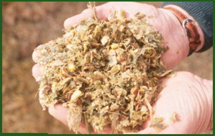 AGROCOLUN Edición 76 | Estrategias para la Confección y Utilización del Ensilaje de Maíz | AGROCOLUN Edición 76 Agrocolun 76 agrícola | establecimiento de alfalfa | agrocolun 76 agrícola | estrategias para la confección y utilización de ensilaje de maíz
