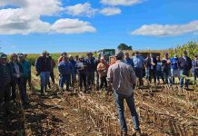 Día de Campo «Ensilaje de Maíz» AGROCOLUN 76 | DÍA DE CAMPO | Ensilajes de Maíz