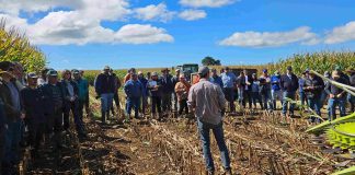 Agrocolun 76 | día de campo | ensilajes de maíz