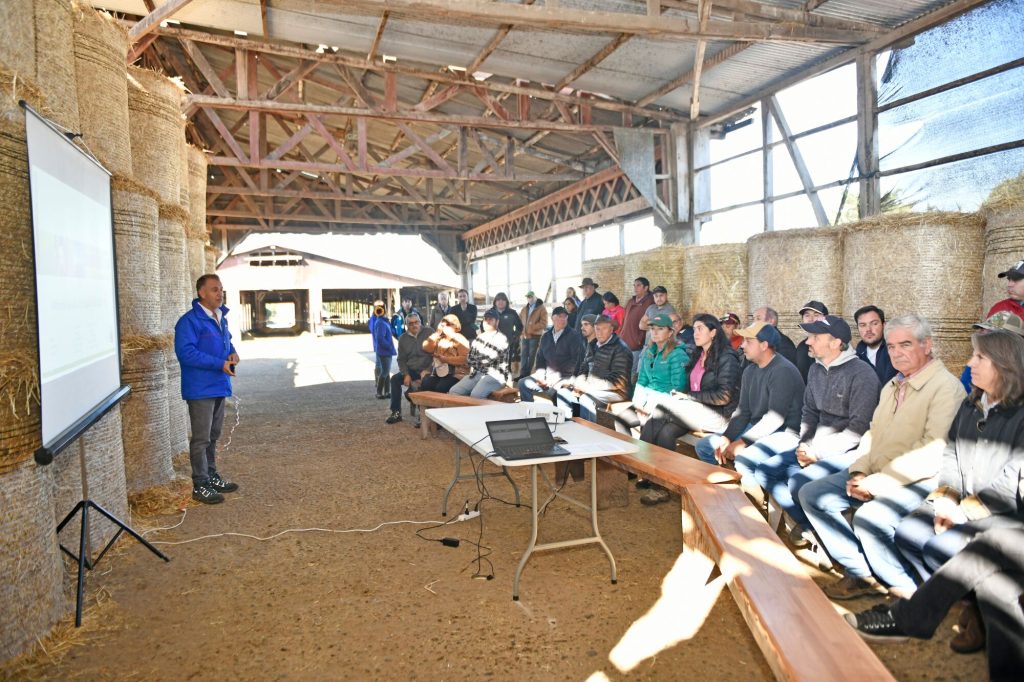 Agrocolun 76 | día de campo | ensilajes de maíz