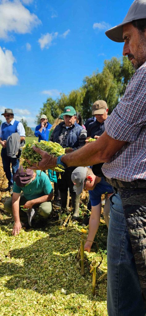 Agrocolun 76 | día de campo | ensilajes de maíz