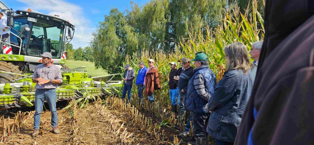 Agrocolun 76 | día de campo | ensilajes de maíz