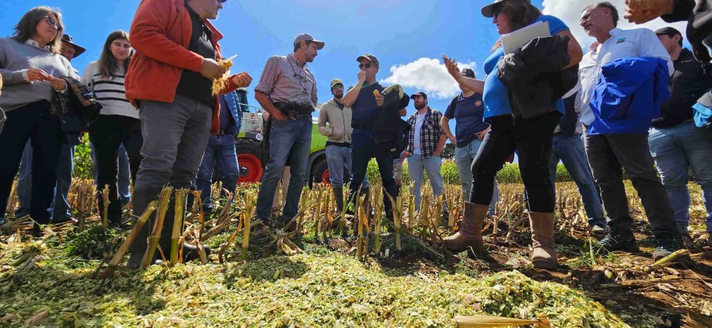 Agrocolun 76 | día de campo | ensilajes de maíz