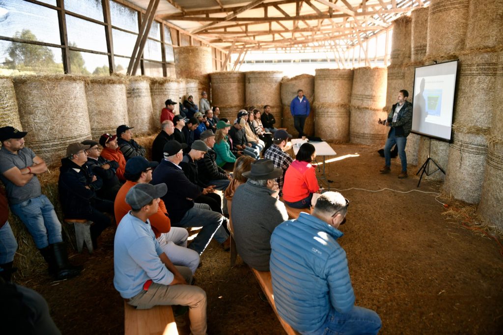 Agrocolun 76 | día de campo | ensilajes de maíz