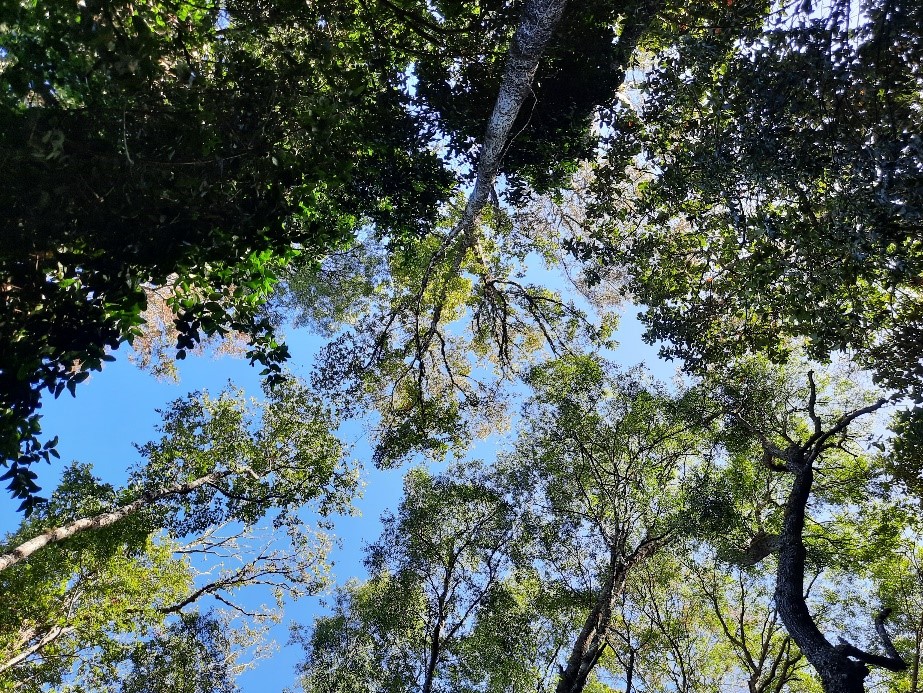 Agrocolun 76 sustentabilidad | conservación de la biodiversidad para un desarrollo sostenible (parte 2)