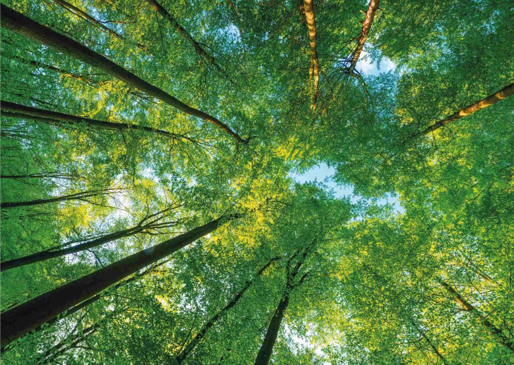 Agrocolun 76 sustentabilidad | conservación de la biodiversidad para un desarrollo sostenible (parte 2)