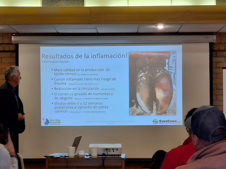 Agrocolun 77 | actividades gerencia agrícola