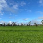 Fertilizando Nuestras Praderas a Tiempo AGROCOLUN 77 | AGRICOLA | Fertilizando Praderas a Tiempo