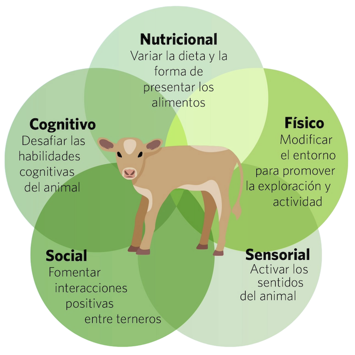 Agrocolun 77 | bienestar animal | ambientes enriquecidos