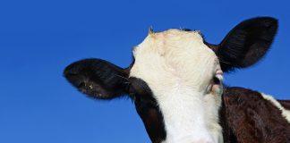 Agrocolun 77 | boletín climático