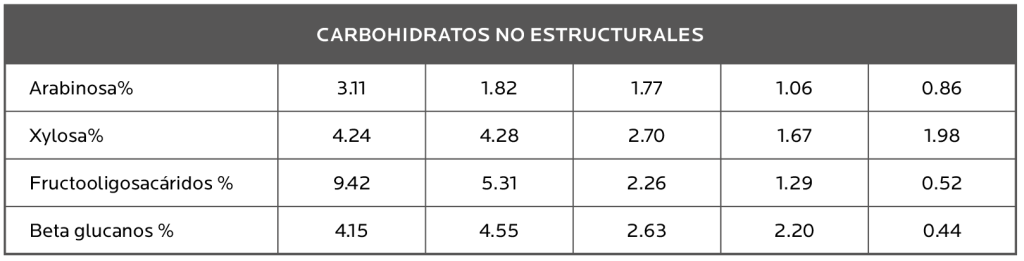 Agrocolun 77 | comercial | centeno híbrido una promisoria alternativa para la alimentación de vacas lecheras