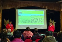 Noticias Colun AGROCOLUN 78 | NOTICIAS GERENCIA AGRÍCOLA