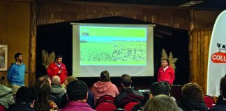 AGROCOLUN 78 | NOTICIAS GERENCIA AGRÍCOLA
