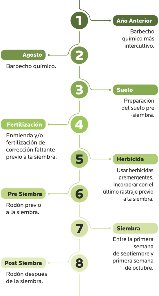 AGROCOLUN 78 | AGRÍCOLA | Claves para el Establecimiento de la Alfalfa