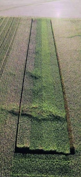 AGROCOLUN Edición 78 | Resultados de Ensayos de Maíces Temporada 2024-2025 | AGROCOLUN Edición 78 AGROCOLUN 78 | AGRÍCOLA | Ensayo de Maices 2024-2025