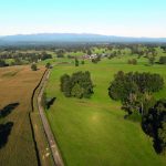 Resultados de Ensayos de Maíces Temporada 2024-2025 AGROCOLUN 78 | AGRÍCOLA | Ensayo de Maices 2024-2025