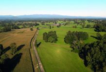 Resultados de Ensayos de Maíces Temporada 2024-2025 AGROCOLUN 78 | AGRÍCOLA | Ensayo de Maices 2024-2025