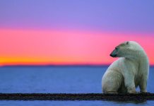 Boletín Climático AGROCOLUN 78 | BOLETÍN CLIMÁTICO