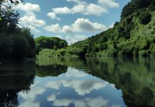 Planes de Descontaminación Hídrica AGROCOLUN 78 | SUSTENTABILIDAD | Planes de Descontaminación Hídrica