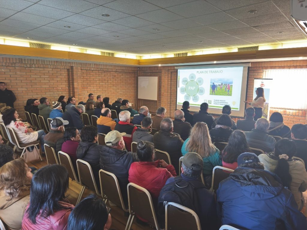 AGROCOLUN 79 | ACTIVIDADES | Gerencia Agrícola