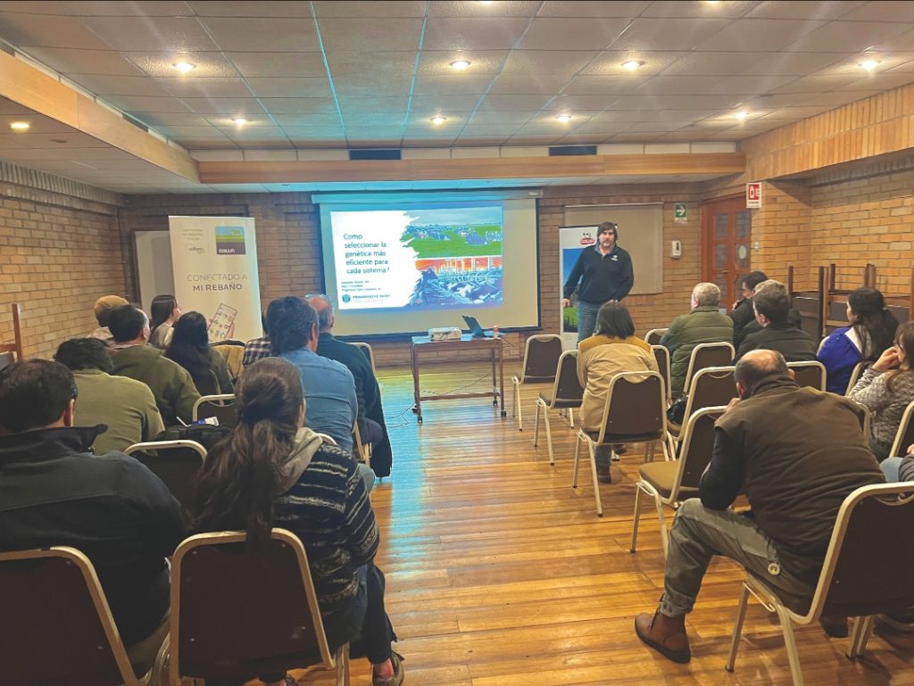 AGROCOLUN 79 | ACTIVIDADES | Gerencia Agrícola