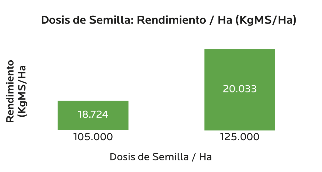 AGROCOLUN Edición 79 | Resultados de Ensayos de Maíz: Densidad a la Siembra | AGROCOLUN Edición 79