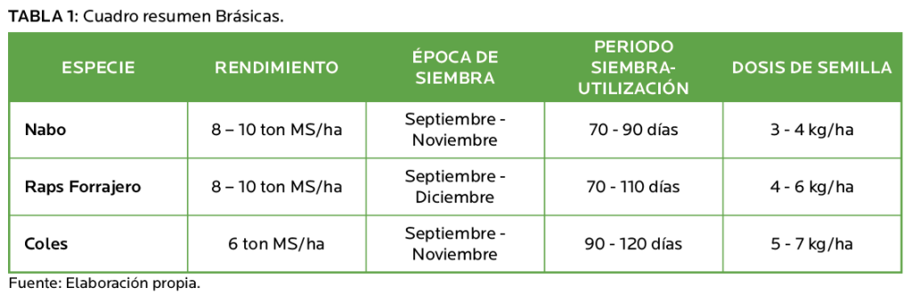 AGROCOLUN 79 | AGRÍCOLA | Cultivos Suplementarios de Verano: Una Herramienta Clave para los Sistemas Productivos Lecheros