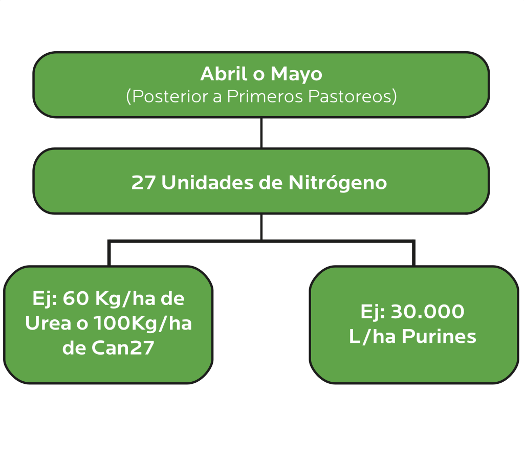 AGROCOLUN 79 | AGRÍCOLA | Estrategias de Fertilización Nitrogenada de Otoño en Praderas