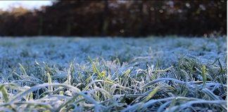 AGROCOLUN 79 | CLIMA | A Pesar del Posible Retorno de La Niña es Probable que las Temperaturas Sean Superiores a la Media