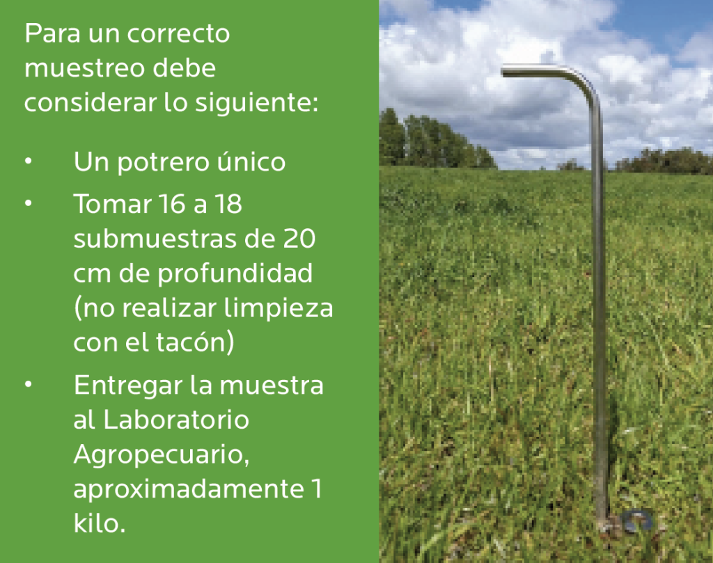 AGROCOLUN Edición 80 | Muestreo de Suelos | AGROCOLUN Edición 80 AGROCOLUN 80 | AGRÍCOLA | Muestreo de Suelos