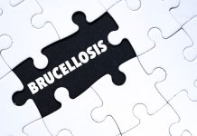 Región de Los Ríos: Un Logro Compartido en la Lucha Contra la Brucelosis Bovina AGROCOLUN 80 | CALIDAD DE LECHE | Lucha contra la Brucelosis Bovina