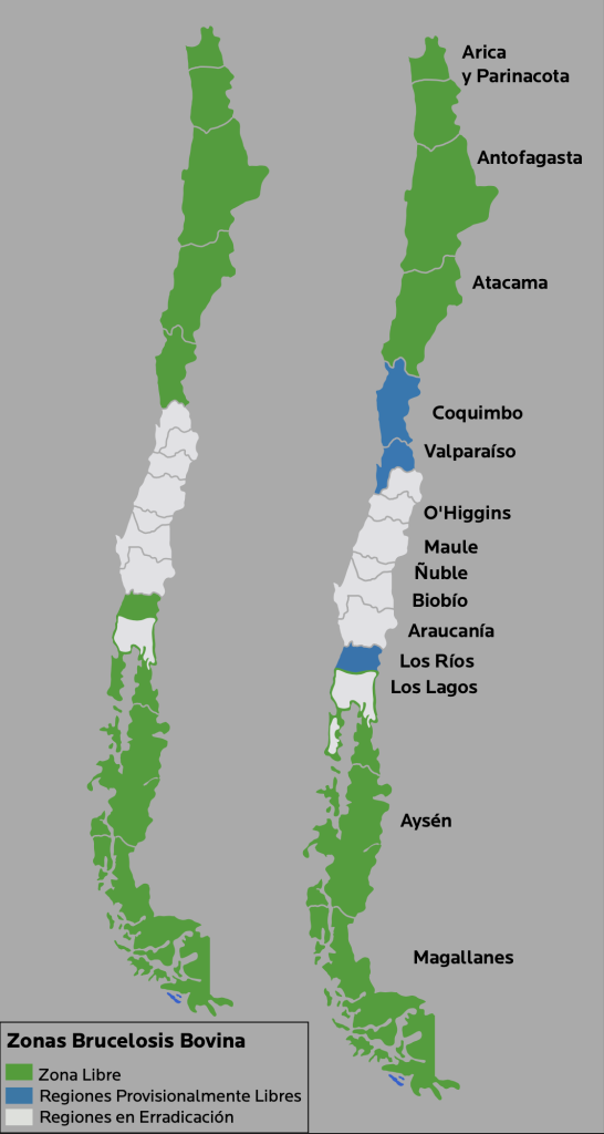 AGROCOLUN 80 | CALIDAD DE LECHE | Lucha contra la Brucelosis Bovina